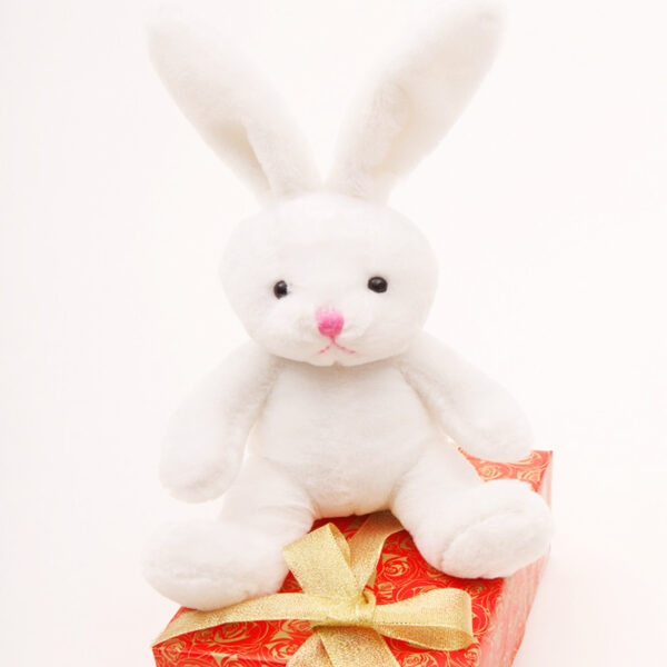 CE famous branded funny snow white rabbit soft toys - 图片 4