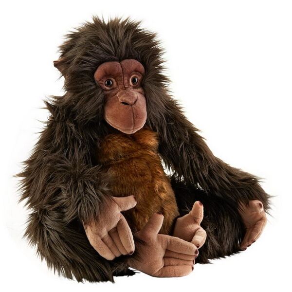 Simulation Animal Apes Zoo Toys - 图片 3