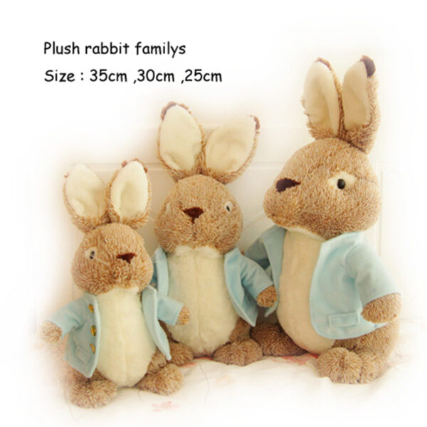 Best Choice Anniversary American Rabbit/Bunny for girlfriend gift - 图片 3