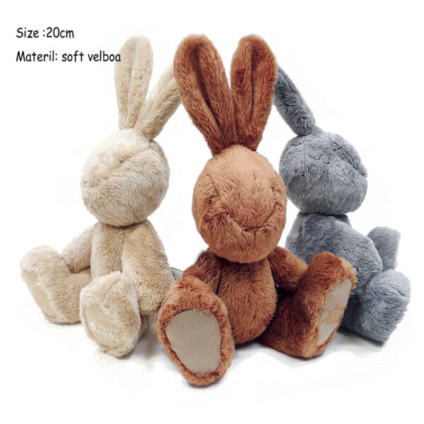 Best Choice Anniversary American Rabbit/Bunny for girlfriend gift - 图片 2