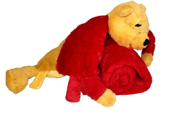 Kid 2-in-1 Cute Travel Pillow and Blanket Set. - 图片 6