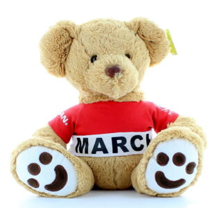 12 INCH Nissan Series Sitting Teddy Bear With Customized T-Shirt